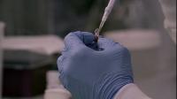 Click to watch 'Designer DNA' (popup) Explained